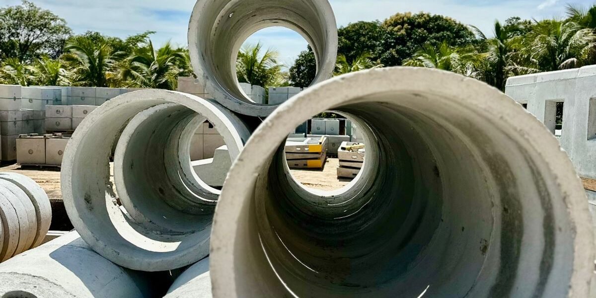 WhatsApp Image 2025-12-08 at 11.26.09